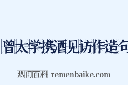 曾太学携酒见访作造句是什么意思的图片